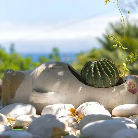 La Di Sofia Santa Flavia