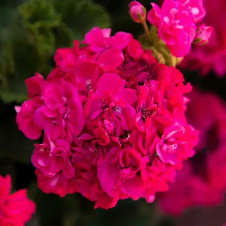 Villa La Di Sofia Santa Flavia